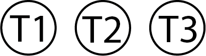 Personnalise T1 T2 et T3 image World Flair
