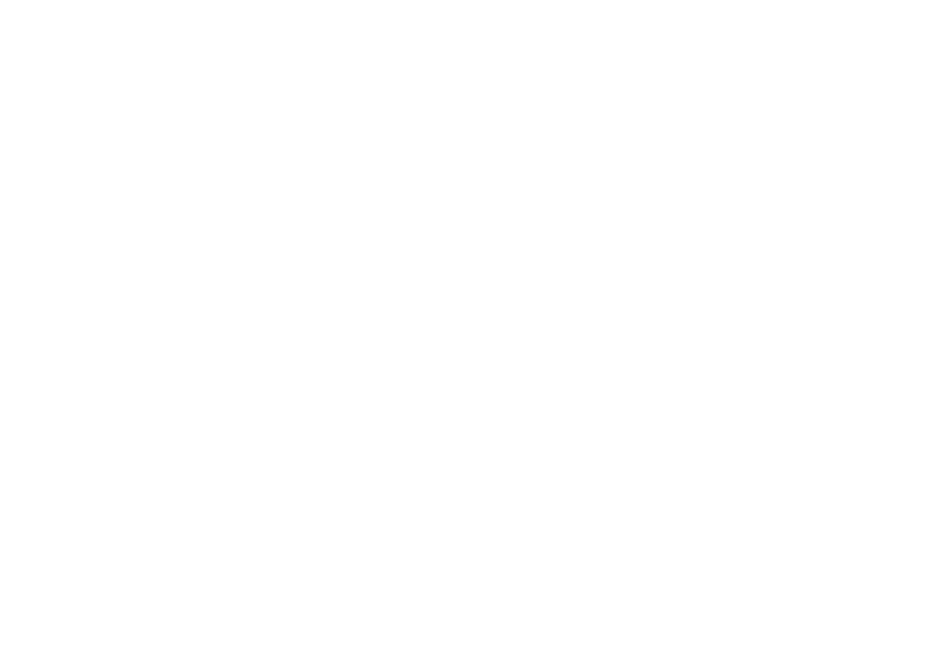 Logo blanc de World Flair